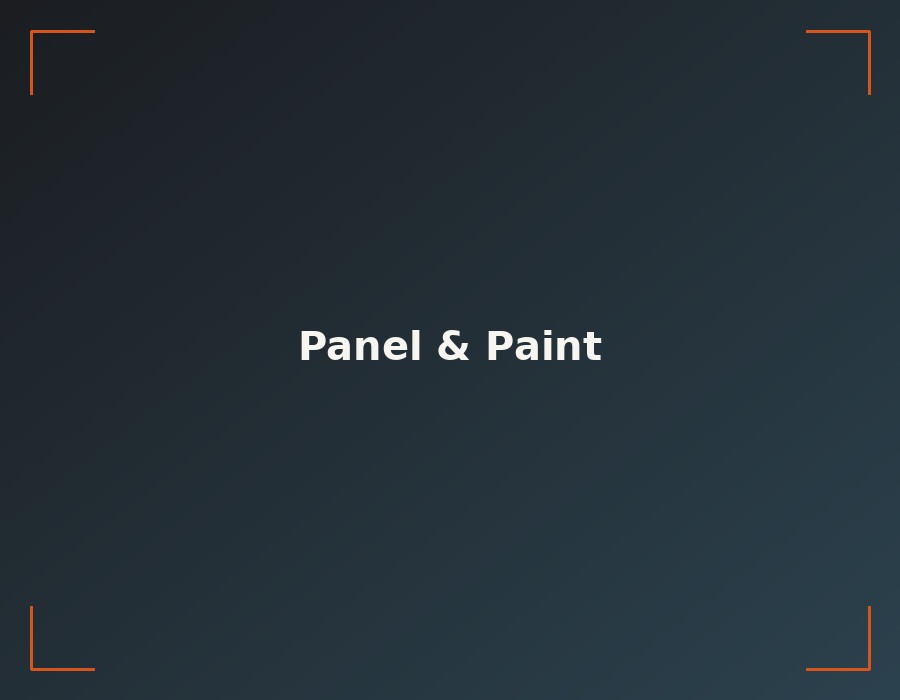 Panel and paint